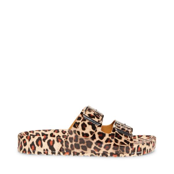 Steve Madden Teddy-t Leopard Sandaler Dame Leopard | SM-938DE