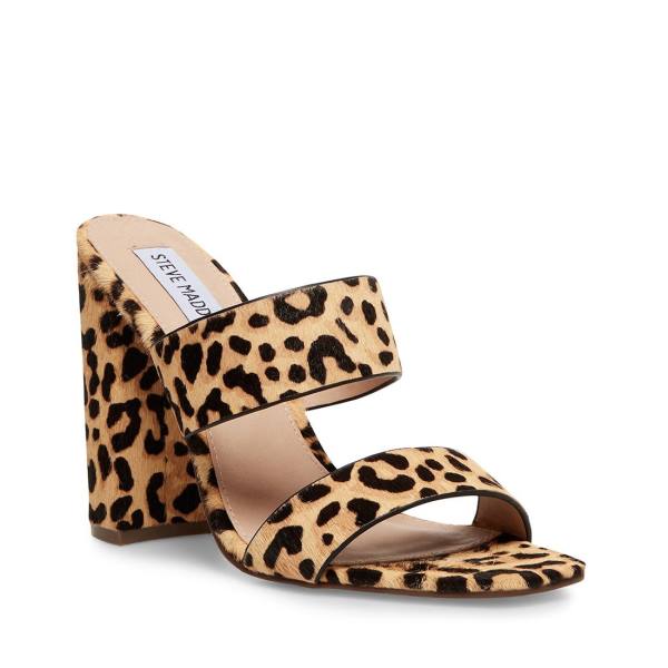 Steve Madden Tegan-l Leopard Heel Høye Hæler Dame Leopard | SM-257EQ