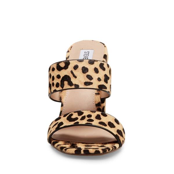 Steve Madden Tegan-l Leopard Heel Høye Hæler Dame Leopard | SM-257EQ