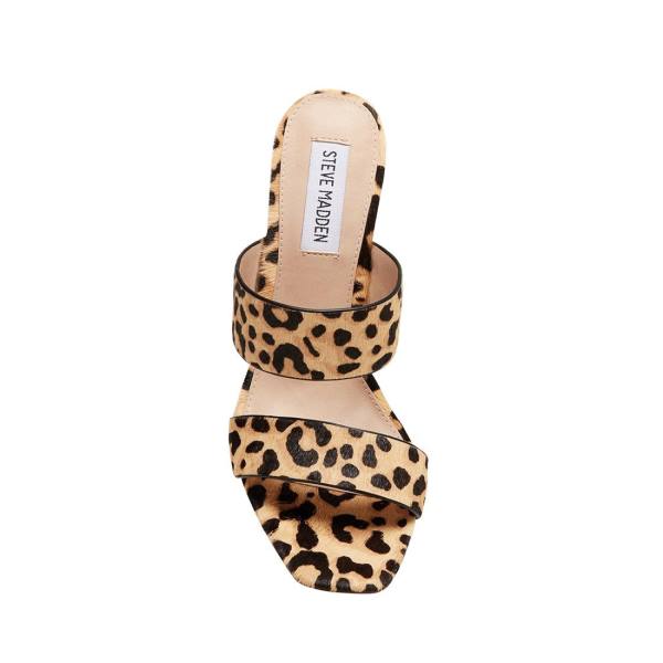 Steve Madden Tegan-l Leopard Heel Høye Hæler Dame Leopard | SM-257EQ