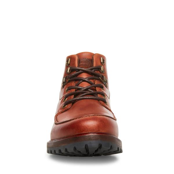 Steve Madden Trekker Cognac Lær Støvler Herre Brune | SM-835KL