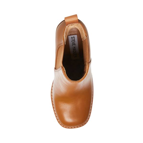 Steve Madden Triple Cognac Lær Ankelstøvletter Dame Brune | SM-809CX