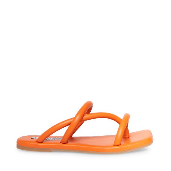 Steve Madden Tropic Sandaler Dame Oransje | SM-846YM