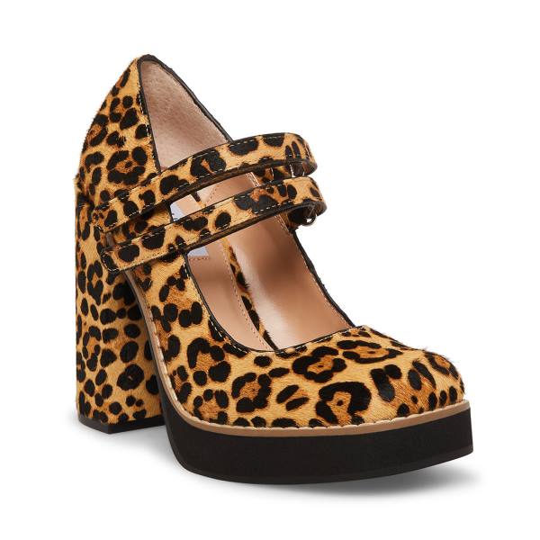 Steve Madden Twice-p Leopard Heel Høye Hæler Dame Leopard | SM-748NH