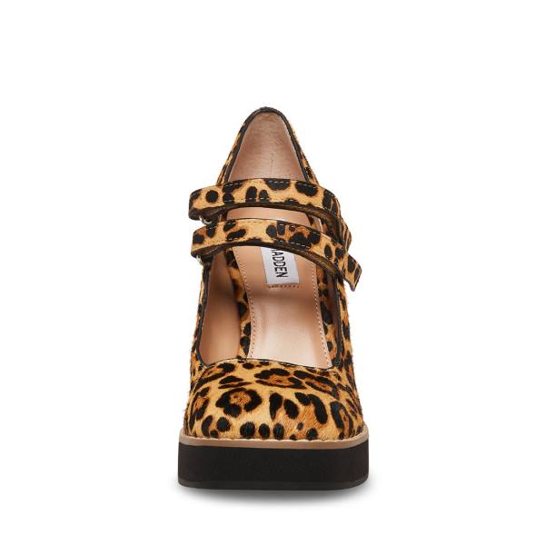 Steve Madden Twice-p Leopard Heel Høye Hæler Dame Leopard | SM-748NH