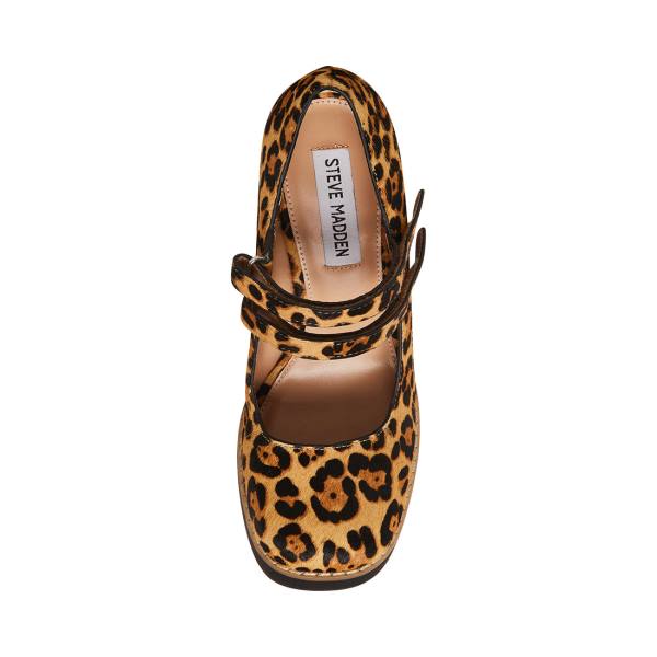 Steve Madden Twice-p Leopard Heel Høye Hæler Dame Leopard | SM-748NH