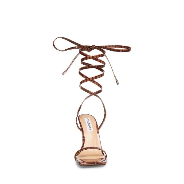 Steve Madden Uplift Camel Heel Høye Hæler Dame Brune | SM-429HX