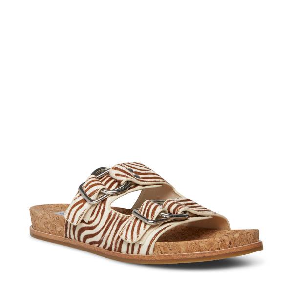 Steve Madden Zeya Sandaler Dame Tiger | SM-134KP