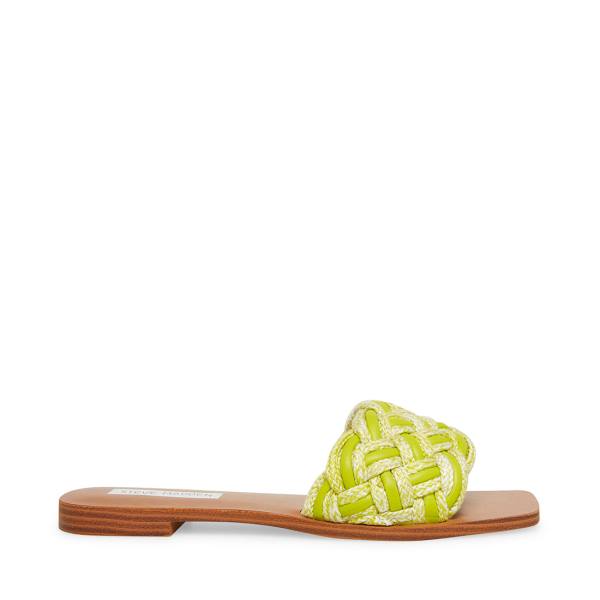 Steve Madden Zorya Lime Sandaler Dame Lyse Grønn | SM-798EQ