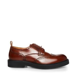 Steve Madden Adrick Cognac Lær Pensko Herre Brune | SM-145BT