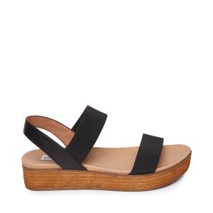 Steve Madden Agile Sandaler Dame Svarte | SM-419IL