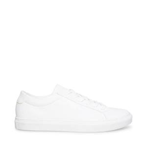 Steve Madden Bolo Joggesko Herre Hvite | SM-378SJ