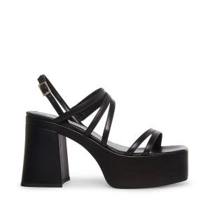 Steve Madden Bossy Lær Heel Høye Hæler Dame Svarte | SM-598FW