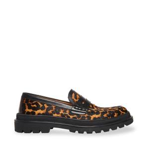 Steve Madden Charles Leopard Loafers Herre Leopard | SM-901JK