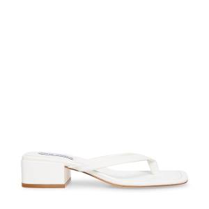 Steve Madden Claudette Sandaler Dame Hvite | SM-140BC