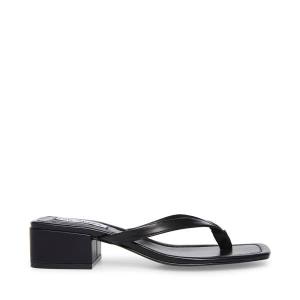 Steve Madden Claudette Sandaler Dame Svarte | SM-409HJ