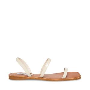 Steve Madden Direct Bone Patent Sandaler Dame Beige | SM-569BQ