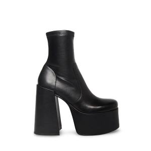 Steve Madden Eve Ankelstøvletter Dame Svarte | SM-943JB