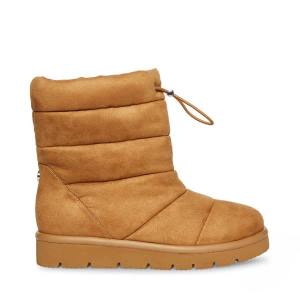 Steve Madden Icy Chestnut Støvler Dame Brune | SM-372IO