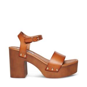 Steve Madden Ivy Cognac Heel Høye Hæler Dame Brune | SM-609UR