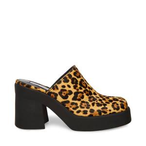 Steve Madden Kam Leopard Heel Høye Hæler Dame Leopard | SM-250TE