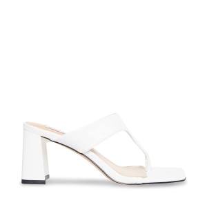 Steve Madden Lamorna Heel Høye Hæler Dame Hvite | SM-514FL