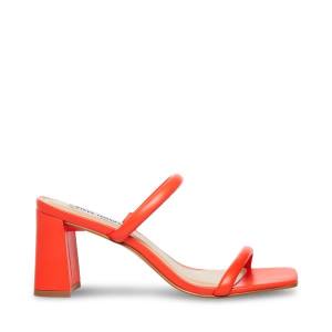 Steve Madden Lilah Heel Høye Hæler Dame Rød | SM-639TF