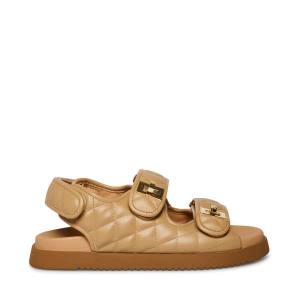 Steve Madden Margie Tan Sandaler Dame Brune | SM-138OD