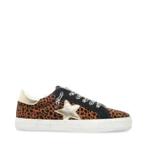 Steve Madden Philosophy Leopard Joggesko Dame Leopard Multicolor | SM-576YS