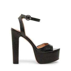 Steve Madden Skyla Snake Heel Høye Hæler Dame Svarte Slangeprint | SM-907NB