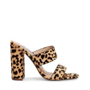 Steve Madden Tegan-l Leopard Heel Høye Hæler Dame Leopard | SM-257EQ