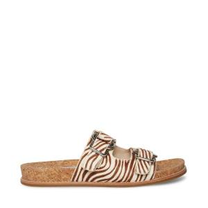 Steve Madden Zeya Sandaler Dame Tiger | SM-134KP